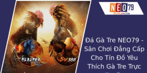 Đá Gà Tre Tại NEO79 - Sân Chơi Đẳng Cấp Cho Tín Đồ Yêu Thích Gà Tre Trực Tuyến 5 A Ga Tre Neo79 San Choi Ang Cap Cho Tin O Yeu Thich Ga Tre Truc Tuyen