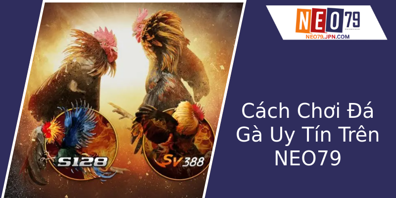 Cách Chơi Đá Gà Uy Tín Trên NEO79 Cách Chơi Đá Gà Uy Tín Trên NEO79