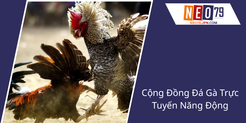 Đá Gà Tre Tại NEO79 - Sân Chơi Đẳng Cấp Cho Tín Đồ Yêu Thích Gà Tre Trực Tuyến 1 Cong Dong Da Ga Truc Tuyen Nang Dong1