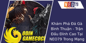Khám Phá Đá Gà Bình Thuận - Trận Đấu Đỉnh Cao Tại NEO79 Trong Mạng Lưới Thú Vị 3 Kham Pha A Ga Binh Thuan Tran Au Inh Cao Tai Neo79 Trong Mang Luoi Thu Vi
