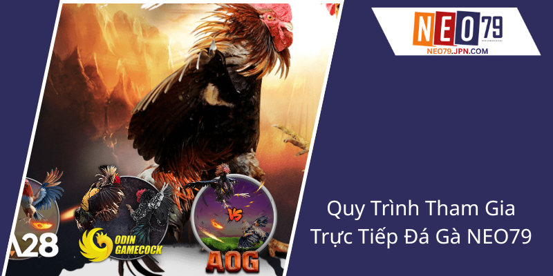 Trực Tiếp Đá Gà Tại NEO79 - Trải Nghiệm Đỉnh Cao Với Các Trận Đấu Hấp Dẫn 1 Quy Trinh Tham Gia Truc Tiep Da Ga Neo792
