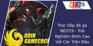 Trực Tiếp Đá Gà Tại NEO79 - Trải Nghiệm Đỉnh Cao Với Các Trận Đấu Hấp Dẫn 4 Truc Tiep A Ga Neo79 Trai Nghiem Inh Cao Voi Cac Tran Au Hap Dan